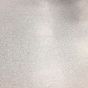 Meet your Posher, Earnestine